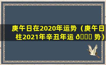 庚午日在2020年运势（庚午日柱2021年辛丑年运 🐛 势）